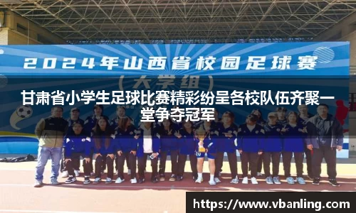 甘肃省小学生足球比赛精彩纷呈各校队伍齐聚一堂争夺冠军